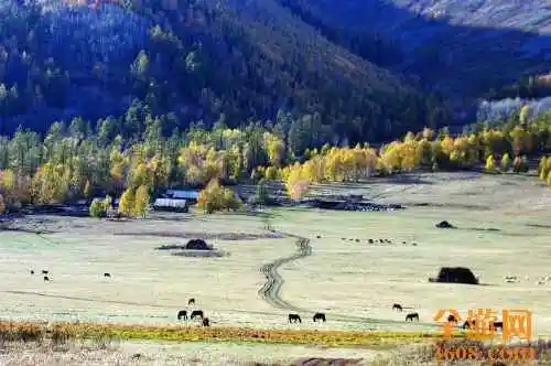 世外桃源白哈巴