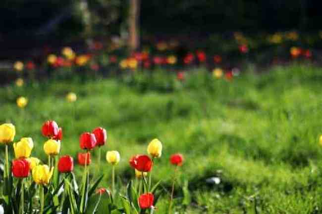 新疆新源风光,图二