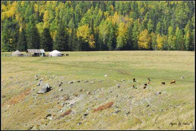 喀纳斯风光组图,图十九