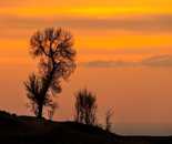 大美新疆景點美圖