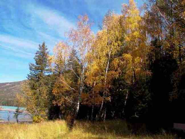 新疆喀纳斯风光,图四