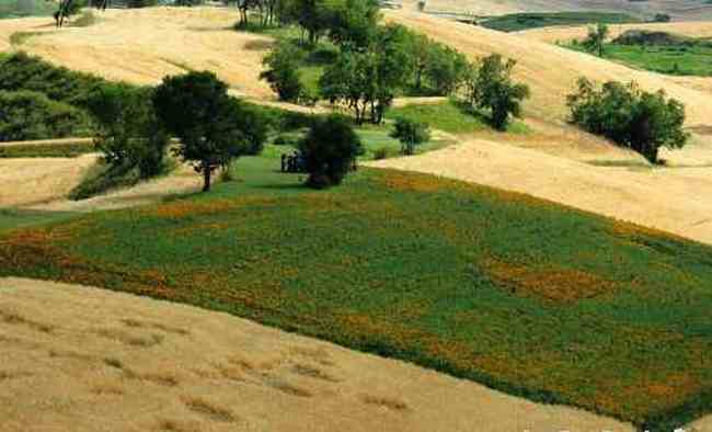 新疆江不拉克風光,圖四