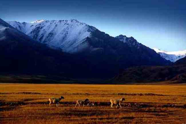 新疆 - 巴音布鲁克草原,图二