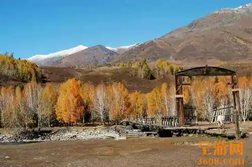 世外桃源白哈巴