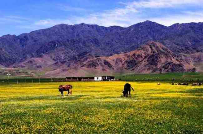 新疆新源风光,图十一