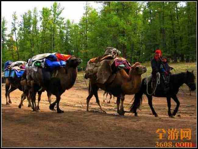 新疆北疆风光,图二十八