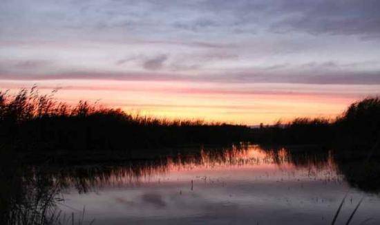 哈巴河：血色残阳 湿地夕照,图十二