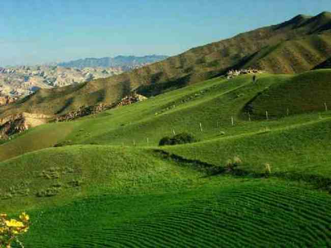 新疆南山小渠子风光,图二