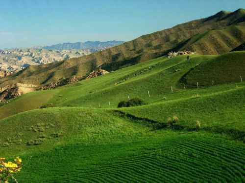新疆南山小渠子风光,图二