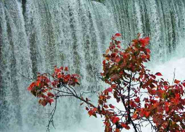 新疆大莫乎尔转场,图三