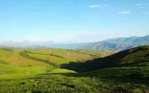 新疆索尔巴斯陶风光