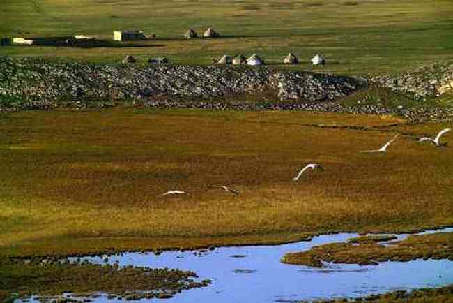 新疆 - 巴音布鲁克草原,图五