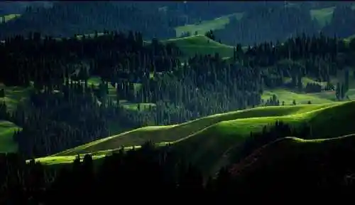 新疆索尔巴斯陶风光