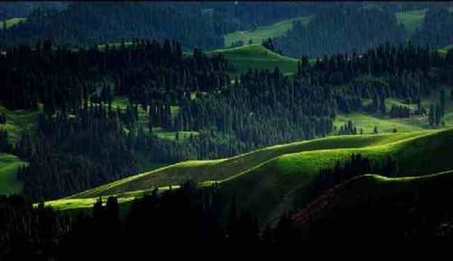 新疆索爾巴斯陶風(fēng)光,圖二