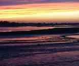 新疆大莫乎爾轉(zhuǎn)場