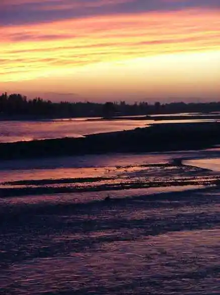 新疆大莫乎尔转场