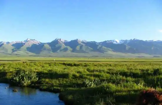 伊犁草原风光