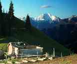 新疆索爾巴斯陶風(fēng)光