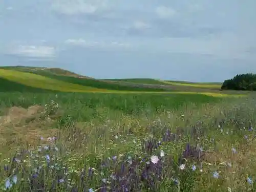 新疆塔斯提风光