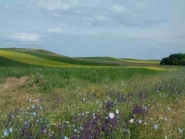 新疆塔斯提风光,图三