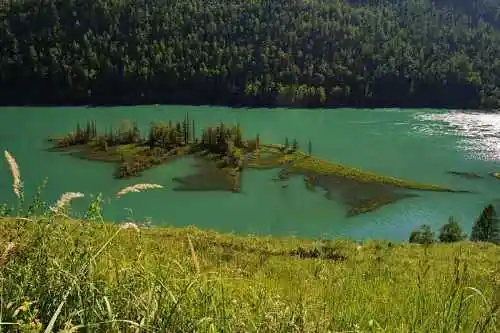 新疆喀纳斯风光