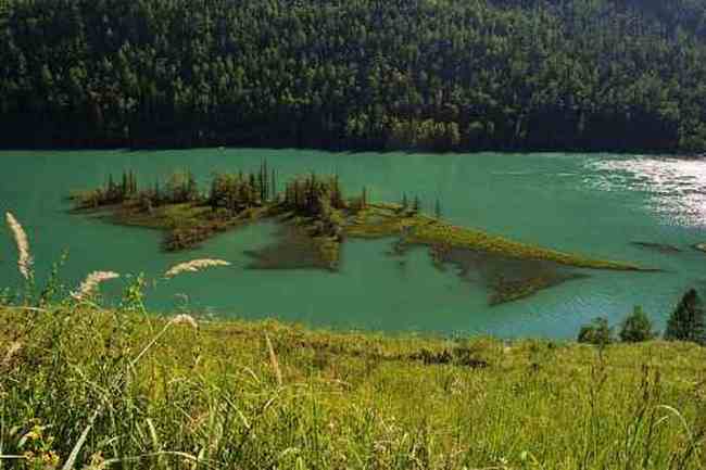 新疆喀纳斯风光,图七