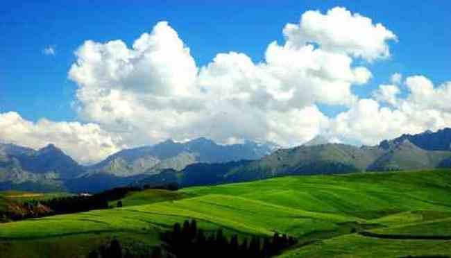 新疆江布拉克,图五