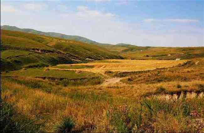 新疆唐布拉风光,图四