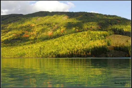 喀纳斯风光组图