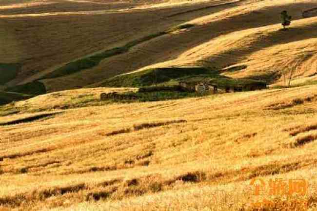 江布拉克 摄影的天堂,图二