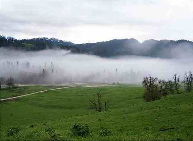 新疆库尔德宁风光,图三