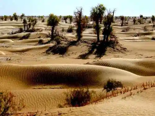 新疆塔克拉玛干沙漠