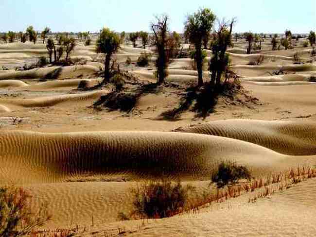 新疆塔克拉玛干沙漠,图三