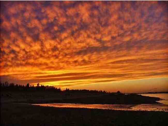 新疆大莫乎尔转场,图七