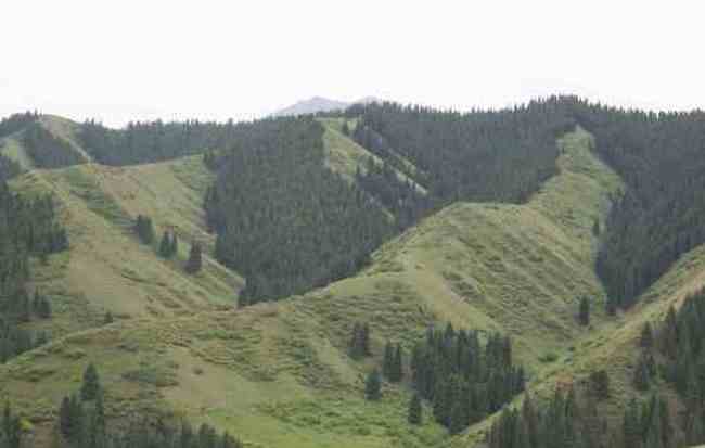 新疆 - 南山牧场,图九