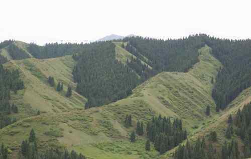 新疆 - 南山牧场,图九