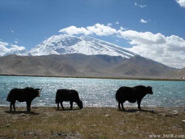 慕士塔格峰,图一
