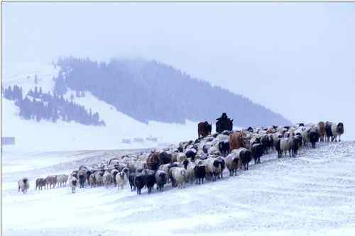 新疆霍城风光,图一