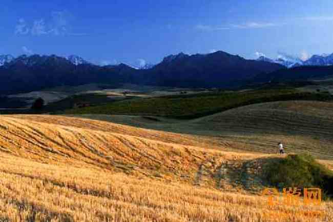 江布拉克摄影的天堂,图十二