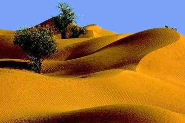 新疆塔克拉玛干沙漠,图一