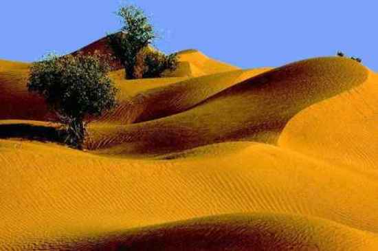 新疆塔克拉玛干沙漠,图一