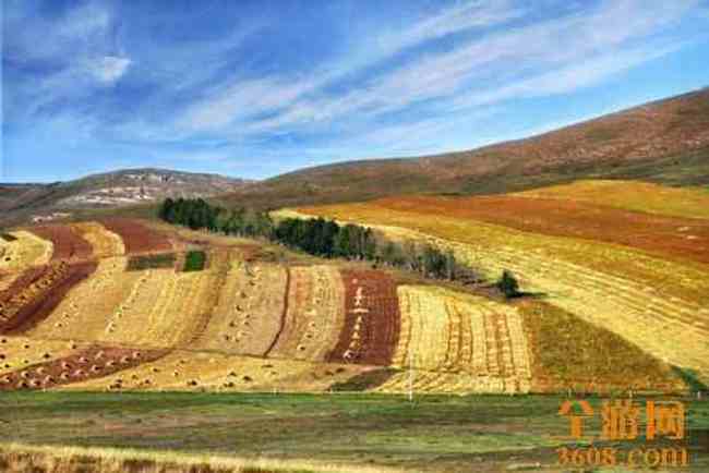 哈夏图的五彩地,图三