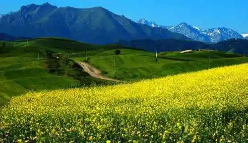 新疆布拉克风光