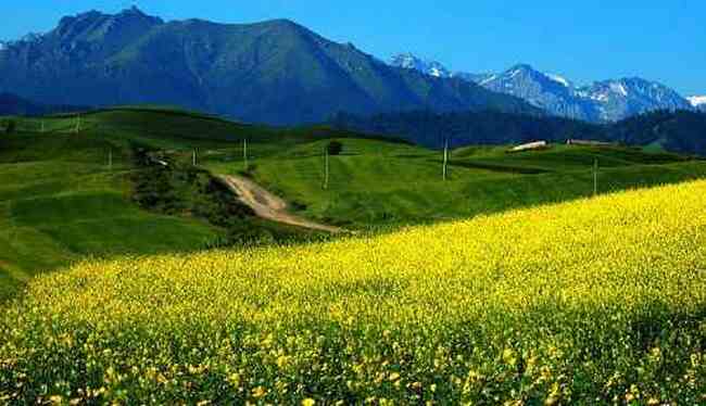 新疆布拉克风光,图十二