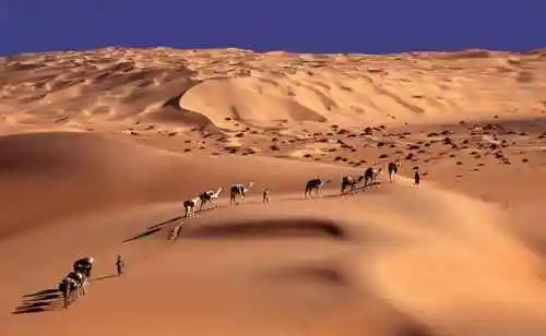 古尔班通古特沙漠