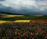 新疆刀條嶺風(fēng)光