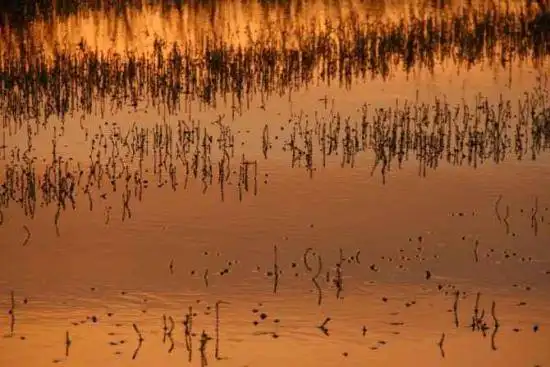 哈巴河：血色残阳 湿地夕照