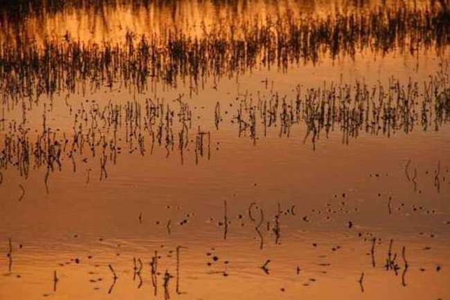 哈巴河：血色残阳 湿地夕照,图三