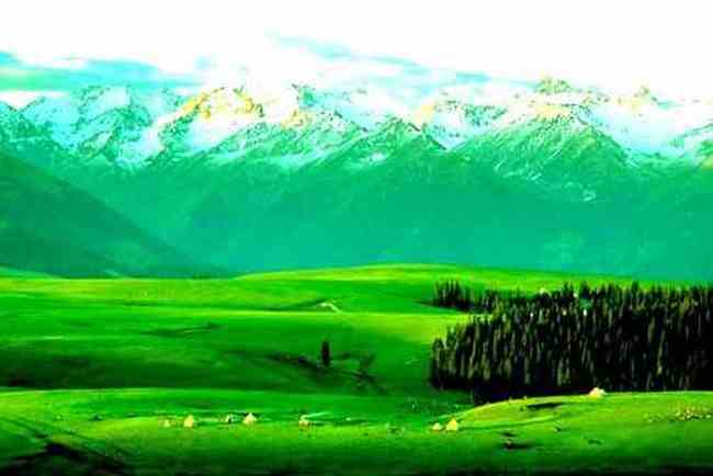 喀拉峻天山深处的翡翠,图二