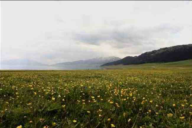新疆赛里木风光,图一